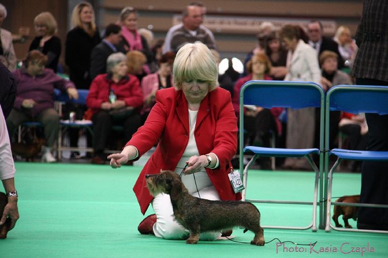 Crufts2011_2 1438.jpg